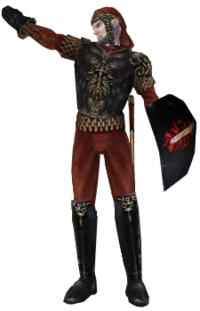 Human wearing Confessor armor