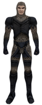 Leather and Chain Mail