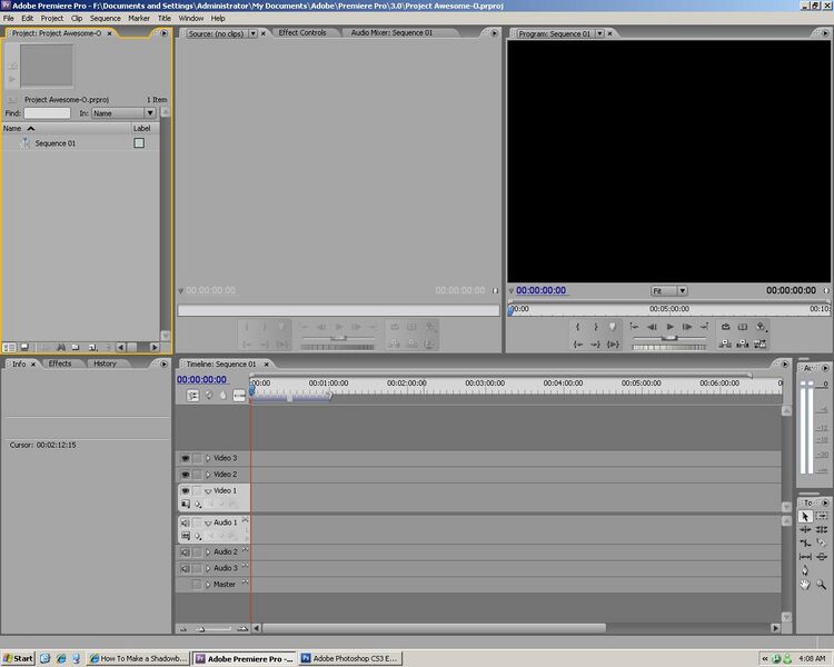 File:Premiere project window.jpg